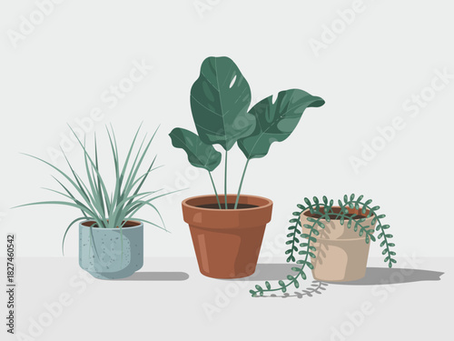 A stylish illustration featuring a collection of trendy potted plants, highlighting the beauty of nature and the joy of indoor gardening in a modern and minimalist aesthetic.