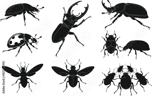 Beetle and insect silhouettes in nine grid poses, cartoon entomology illustration, anatomical insect concept, nature study theme, white background