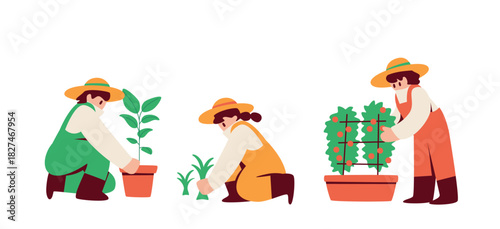 People who enjoy gardening Potted plants, repotting, planter cultivation