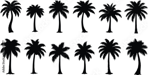 Comprehensive Set of Palm Tree Silhouettes in Two Rows on White tropical nature