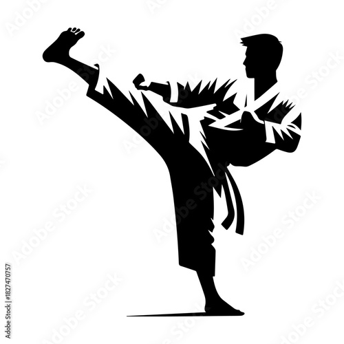 Karate Silhouette: Dynamic Martial Arts Action and Focus.