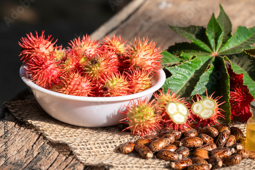 castor oil and seeds on wooden background