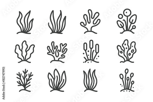 Simple outline icons collection featuring various types of underwater plants and marine algae