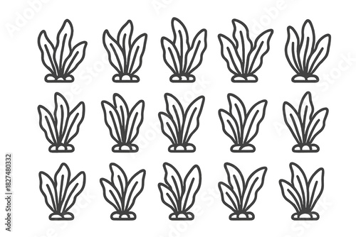 Minimalist line icons of aquatic plants and seaweed for marine and aquarium design