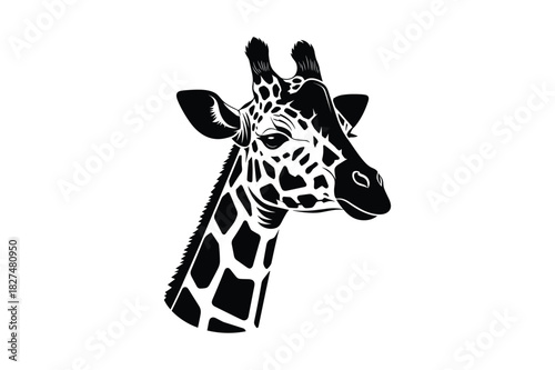 Striking black and white illustration of a giraffes head, featuring its unique spotted pattern