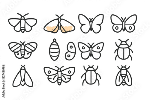 Thin line style icons of butterflies, moths, beetles, and pupa