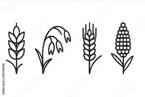 Black outline symbols representing common cereal grains including wheat, rye, oats, and corn