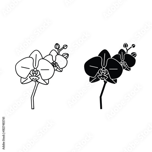 Two orchid flowers one outline one silhouette isolated on white background