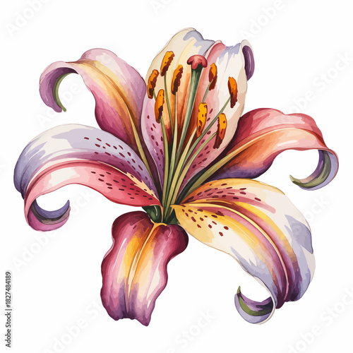 An exquisite lily flower bursting with vibrant colors, showcasing the beauty of nature and artistry in floral design, perfect for celebrations and admiration.