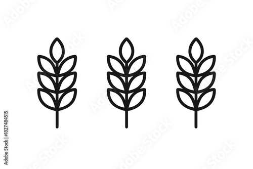 Three stylized wheat ears or grain stalks depicted as simple black outline icons