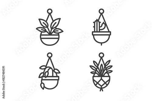 Minimalist set of four hanging houseplants and potted succulents for home decor