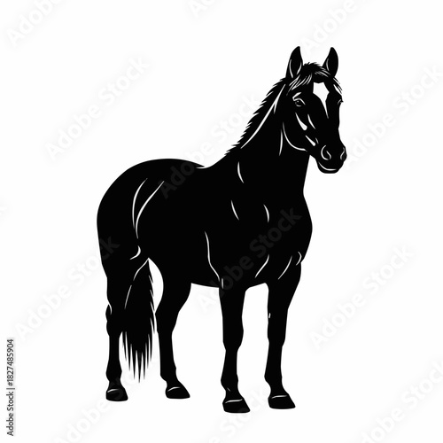 Majestic Black Horse Silhouette with White Star on Forehead.