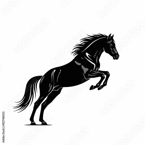 Majestic Black Horse Rearing Up in Dynamic Pose.