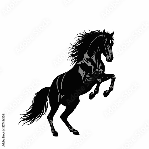 Majestic Black Horse Rearing Upward in a Powerful Pose.