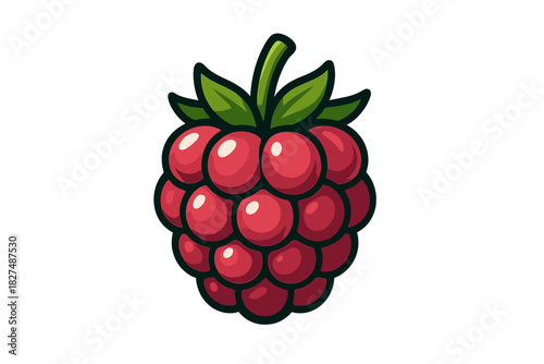 Bright red raspberry fruit with green leaves and stem isolated on white