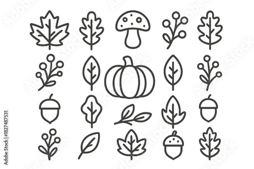 Minimalist line art symbols of autumn harvest elements pumpkin leaves acorns berries
