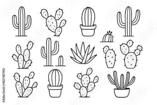 Minimalist black and white set of desert plants including various cacti and succulents