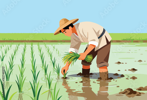 An illustrated farmer in a paddy field planting rice seedlings under a blue sky