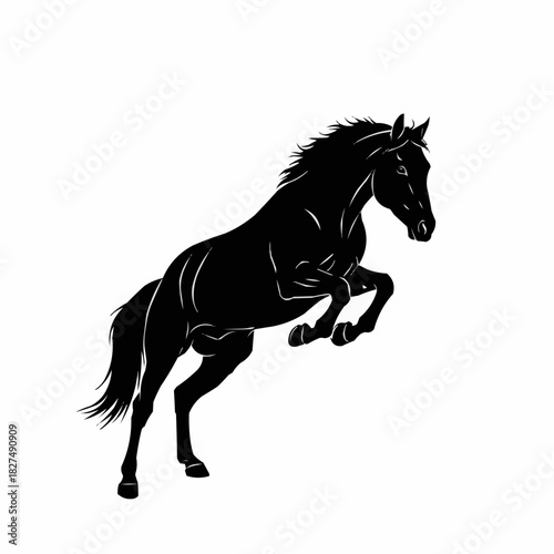 Powerful Black Horse Rearing Up in Dynamic Pose.