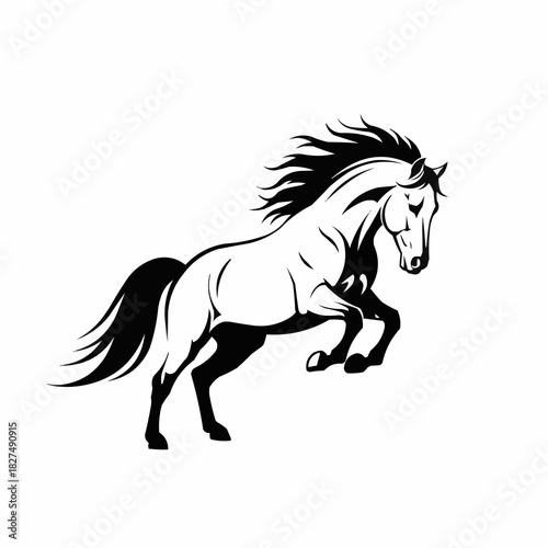 Powerful black and white stallion rearing up illustration.