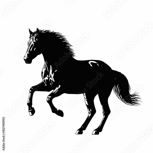 Majestic Black Horse Rearing Up in Powerful Silhouette.