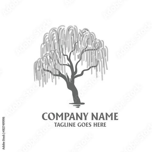 Natural Weeping Willow Tree Silhouette Logo Vector Botanical Resilience