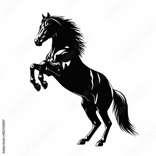 Majestic Black Horse Rearing Up Silhouette Illustration.