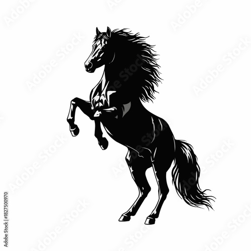 Powerful black stallion rearing up in a majestic pose.