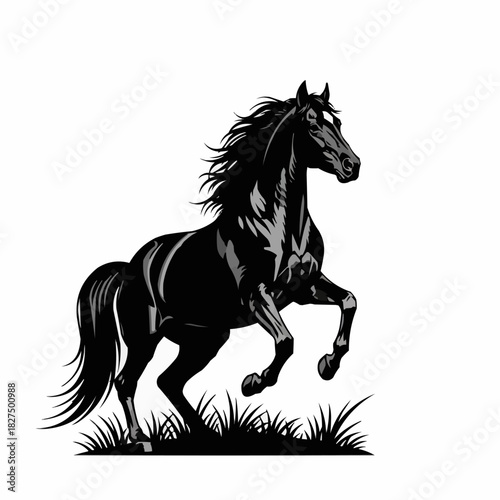 Majestic black horse in a dynamic pose, showcasing power and grace.