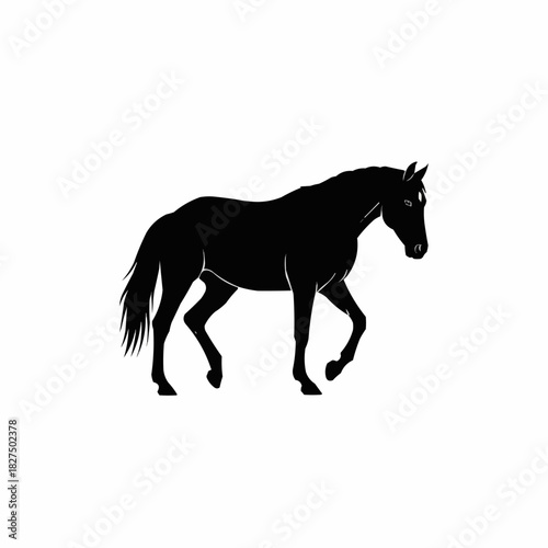 Majestic Black Horse Silhouette Walking Gracefully on White Background.