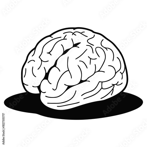 Illustration of a human brain in black and white design  