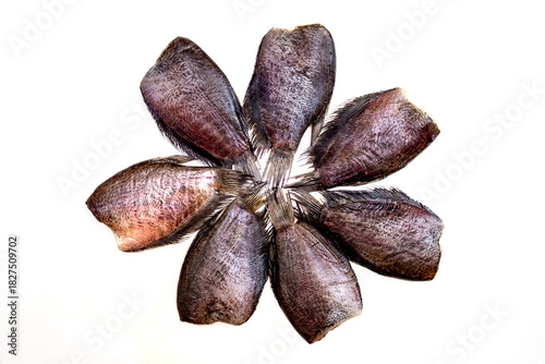 Close up of Dried Salid Fish or Gourami Fish Isolated White Background.