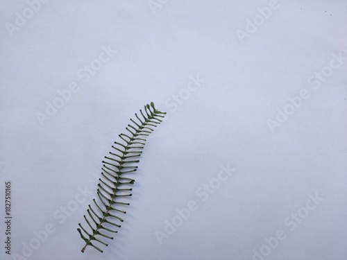 blue sky background