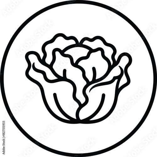 Illustrator Cabbage inside circle agriculture fresh vegetable Silhouette vector