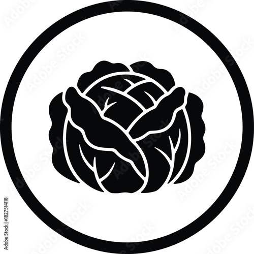 Illustrator Fresh cabbage vegetable healthy food ingredient Silhouette vector