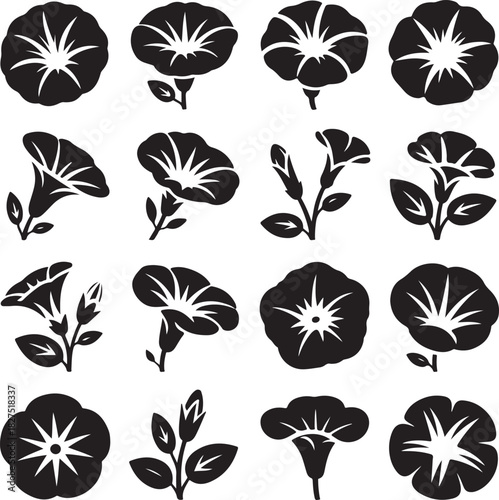 Elegant black and white morning glory flower silhouettes floral pattern design
