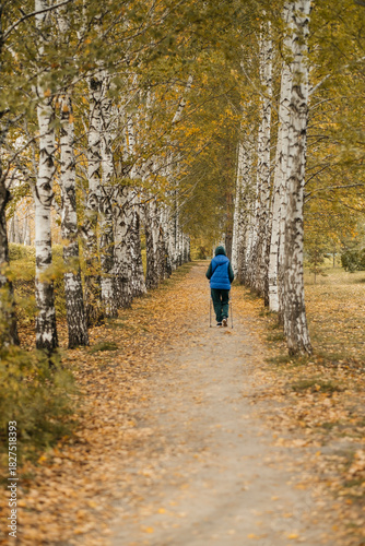 Autumn park. Walk in the autumn forest. Golden autumn. Beautiful view.
