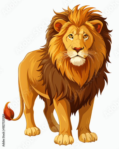 Lion real, full body , white background	