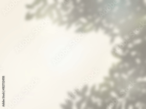 木の影が壁に映る背景素材