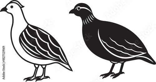 Duck Pair Silhouette | Water Bird Duo