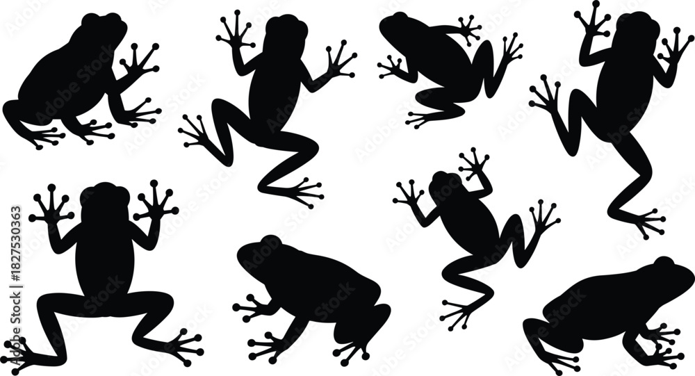 Naklejka premium Collection of black frog silhouettes in various poses on a white background amphibian