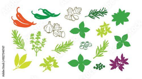 A collection of colorful, hand-drawn spicy herbs. Culinary elements for your creative design. Vector illustration

