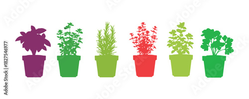 Set of kitchen herbs featuring the word 'herbs' on the pot. A template for spices. Design components for a restaurant menu.

