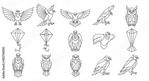 Collection of line art illustrations featuring various birds of prey, owls, and diamond kites in a minimalist style.