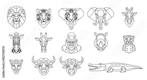 A collection of geometric line art animal portraits, various species.