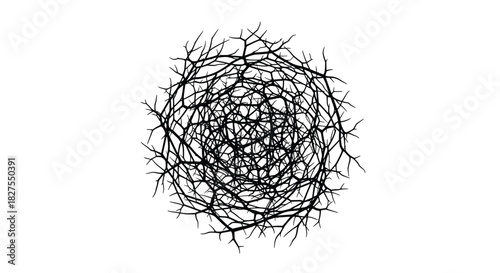 A dense, spherical mass of intertwined bare tree branches creates an abstract and complex organic pattern against a clean white background.