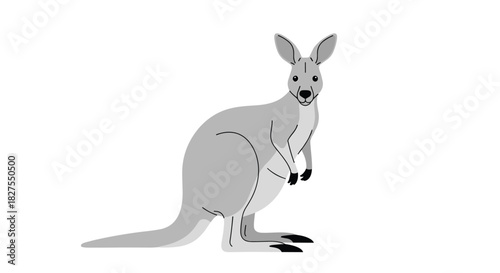 A cartoon-style illustration of a grey kangaroo standing upright and facing forward against a clean white background.