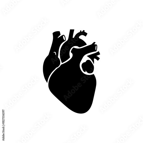 Human Heart Organ Icon - Cardiology and Health Symbol