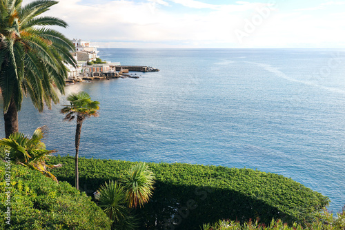 Panoramic sea view in Liguria, Rapallo, Italy. Park, nature, exotic trees and plants. Design backdrop.