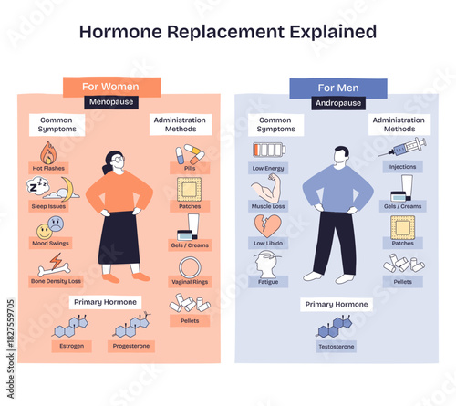 Hormone replacement explained shows menopause and andropause, with woman and man figures, primary hormones and delivery methods like pills and patches. Doodle style diagram